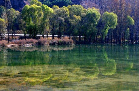 喇叭沟门原始森林 金秋登高赏美景