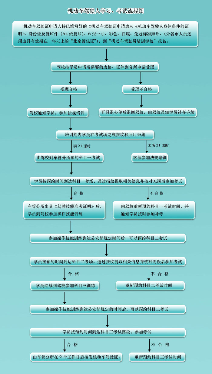 考驾照流程图