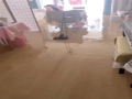 京城一猫咪趁主人睡觉开闸放水淹了家
