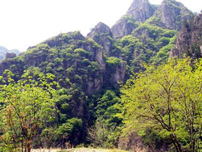 沟崖自然风景区