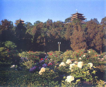 景山公园