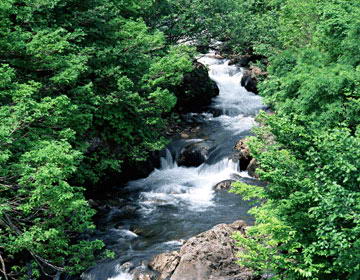 响水湖自然风景区